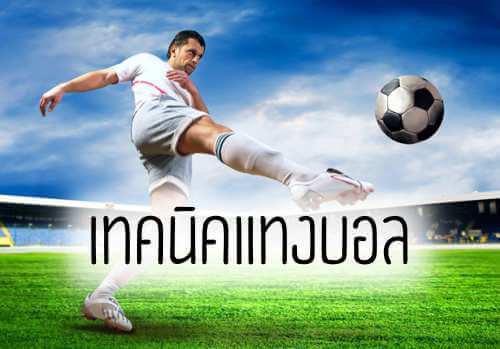 เว็บแทงบอล